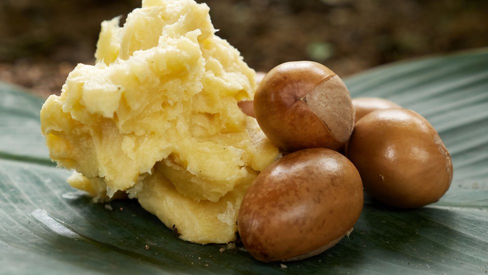 The Versatility of Vegetable Oils and Butter in Soap Making: A Comprehensive Guide