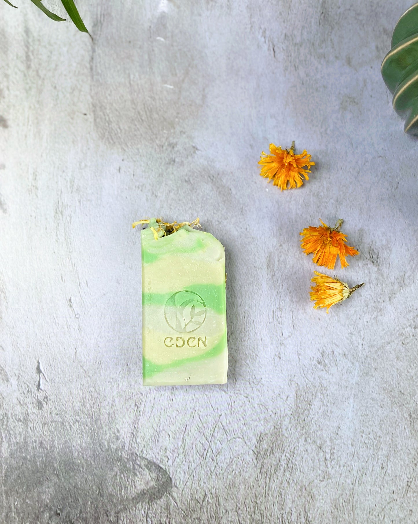 Jasmine & Pomelo - Botanical Soap Bar